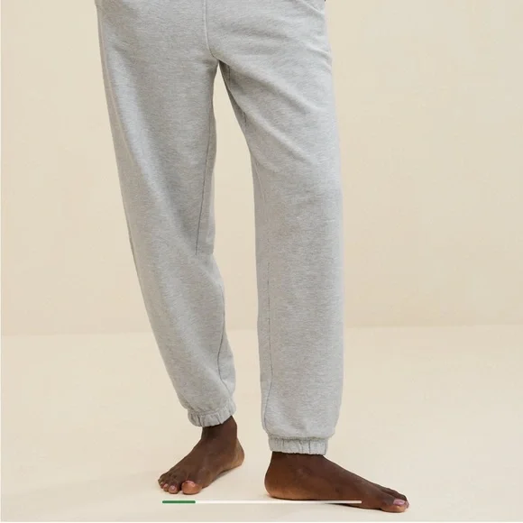 Aerie Jet Setter Jogger Heather Grey Size XS Gently Worn - Picture 2 of 5